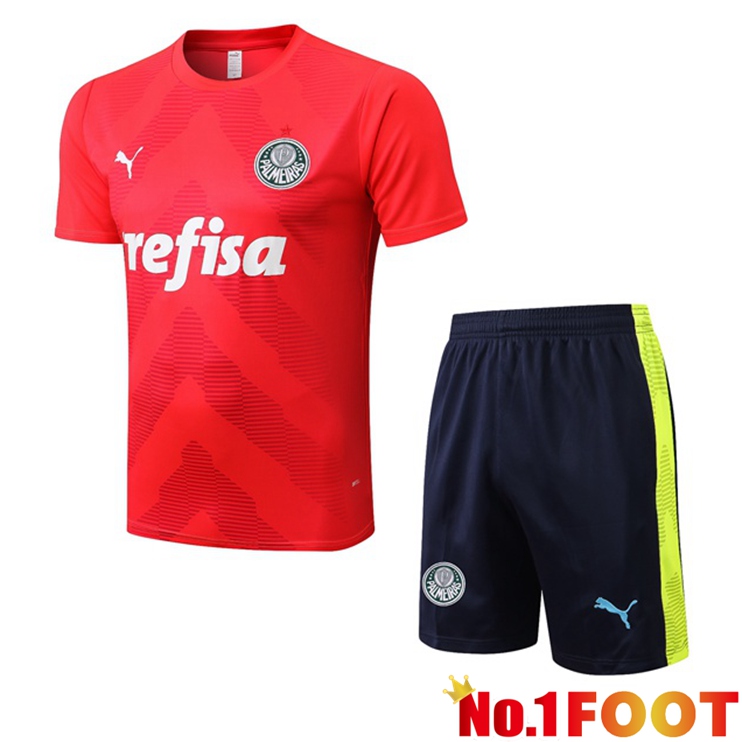 Palmeiras Training T Shirt + Shorts Red 2022/2023