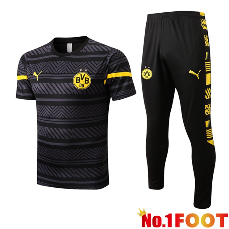 Dortmund BVB Training T Shirt + Pants Grey 2022/2023