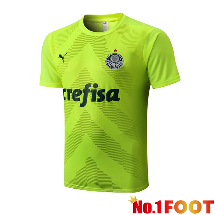 Palmeiras Training T Shirt Green 2022/2023