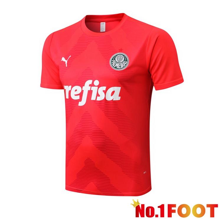 Palmeiras Training T Shirt Red 2022/2023