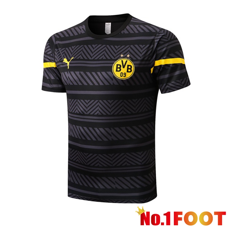 Dortmund BVB Training T Shirt Grey 2022/2023