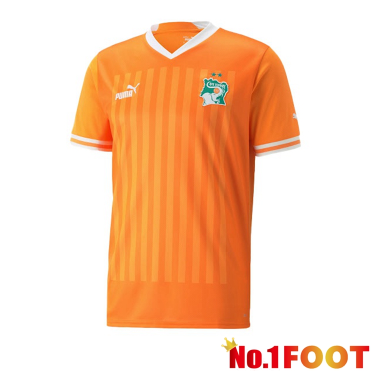 Ivory Coast Jersey Home Yellow 2022/2023