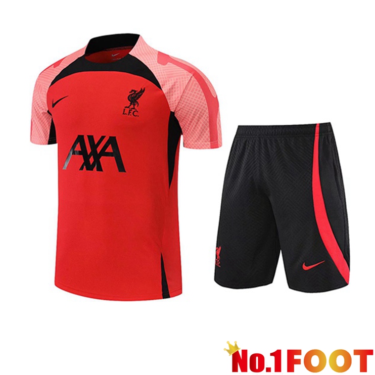 FC Liverpool Training T Shirt + Shorts Red 2022/2023