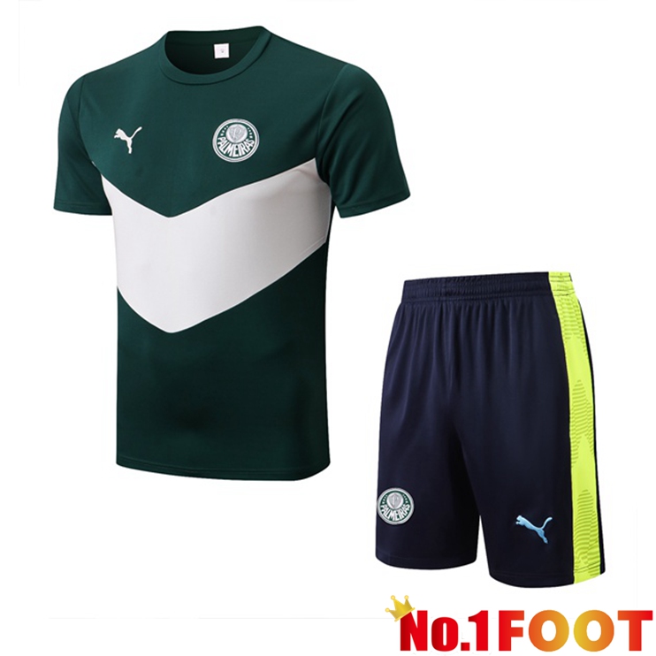 Palmeiras Training T-Shirts + Shorts Green 2022-2023