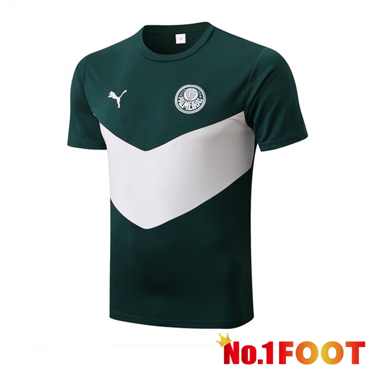 Palmeiras Training T-Shirts Green 2022-2023