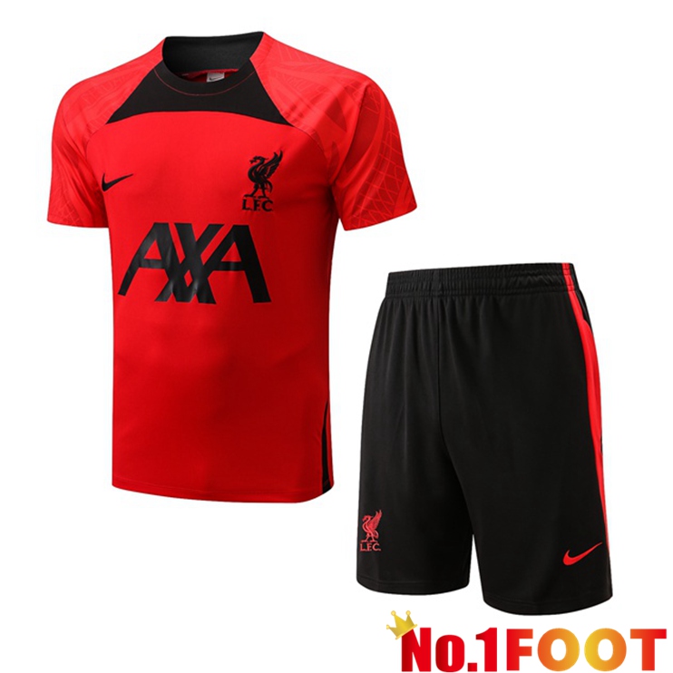 FC Liverpool Training T Shirt + Shorts Red 2022/2023