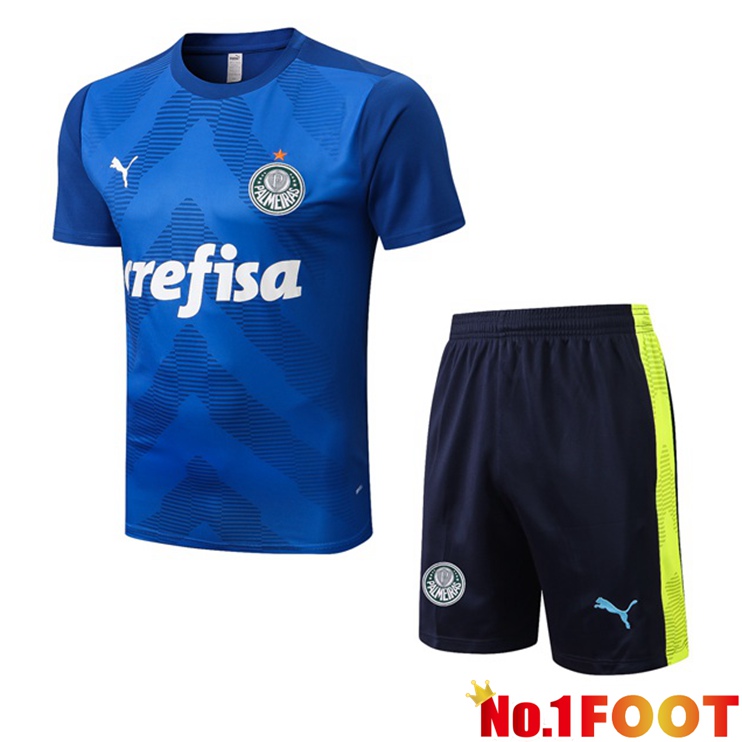 Palmeiras Training T Shirt + Shorts Blue 2022/2023