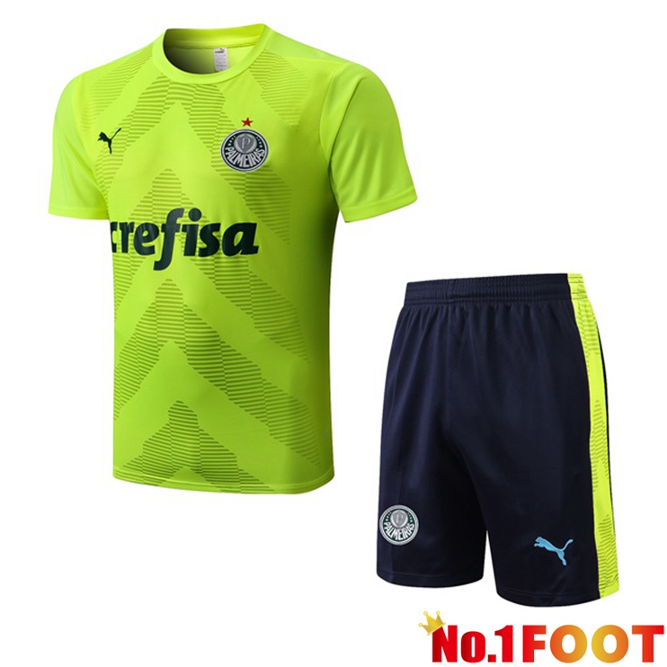 Palmeiras Training T Shirt + Shorts Green 2022/2023