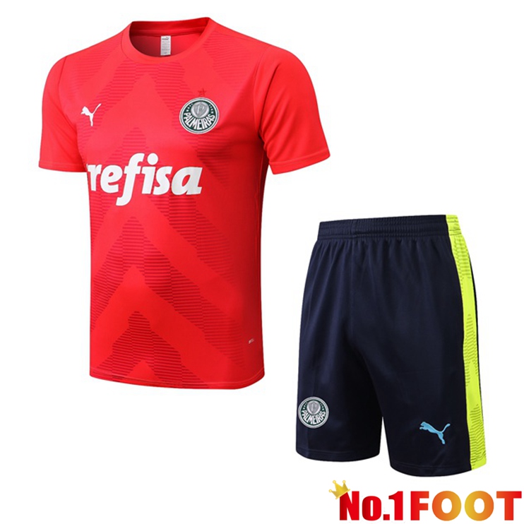 Palmeiras Training T Shirt + Shorts Red 2022/2023