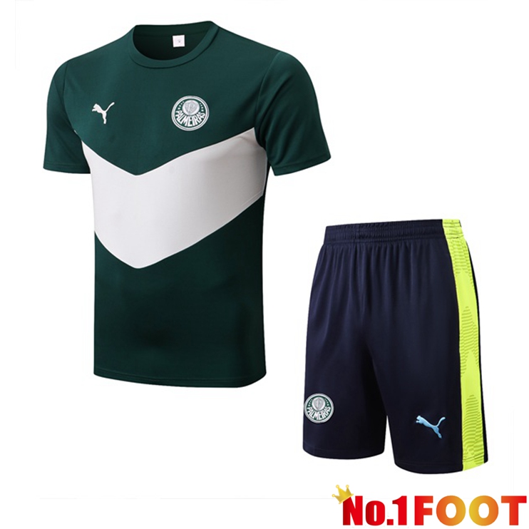 Palmeiras Training T Shirt + Shorts Green White 2022/2023