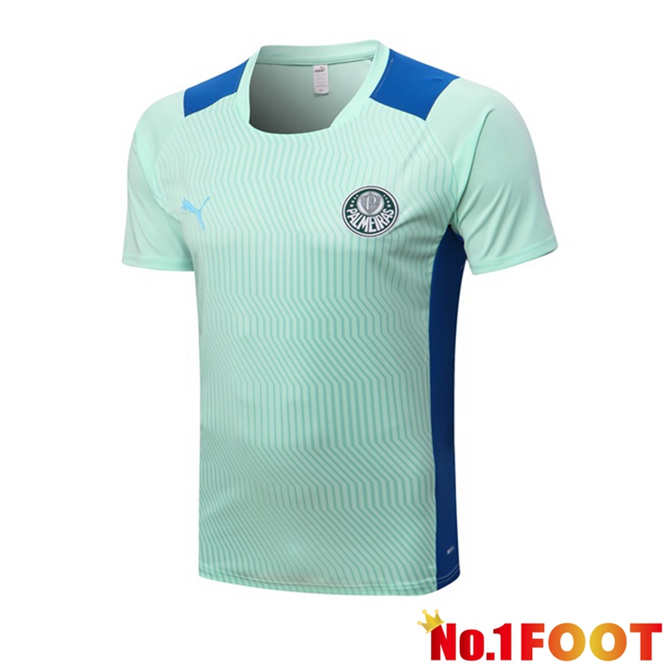 Palmeiras Training T Shirt Green 2022/2023