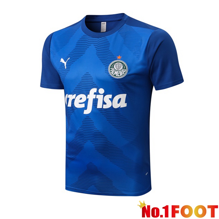 Palmeiras Training T Shirt Blue 2022/2023