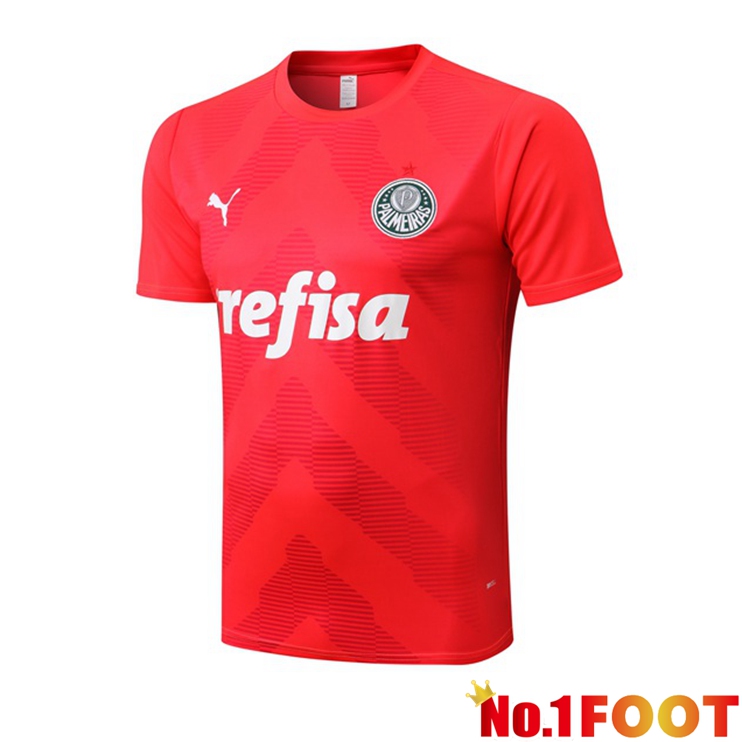 Palmeiras Training T Shirt Red 2022/2023