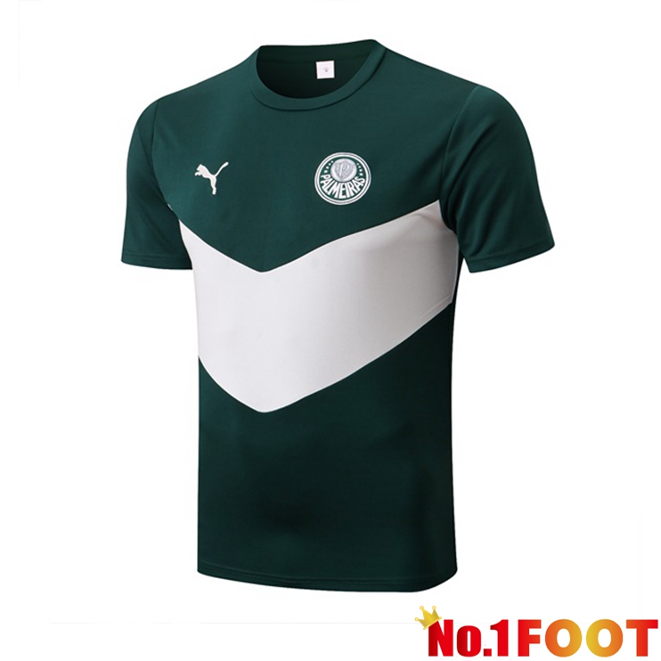 Palmeiras Training T Shirt Green White 2022/2023