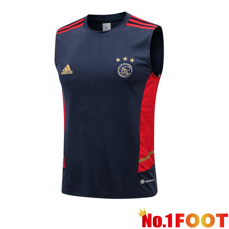 AFC Ajax Blue Royal Football Vest 2022-2023