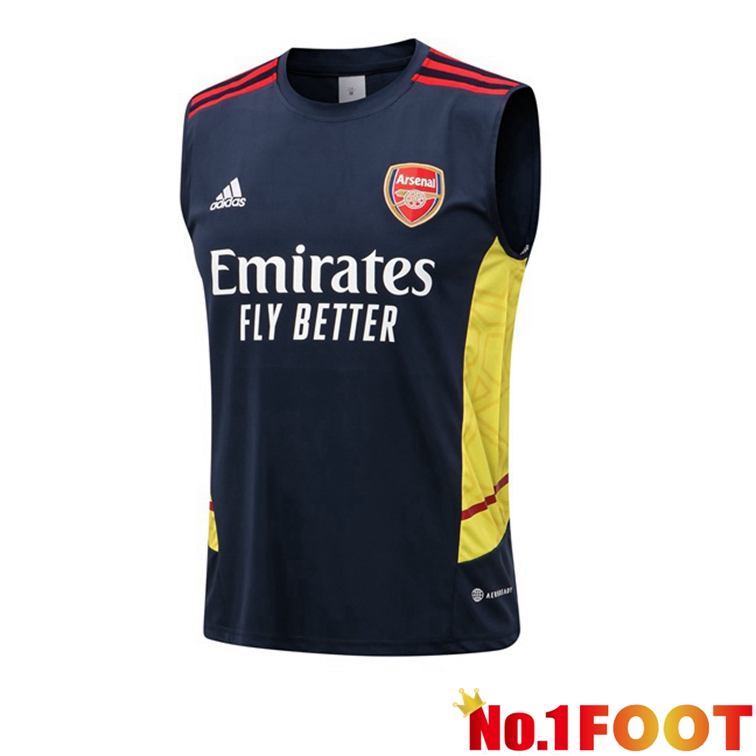 Arsenal Blue Royal Football Vest 2022-2023