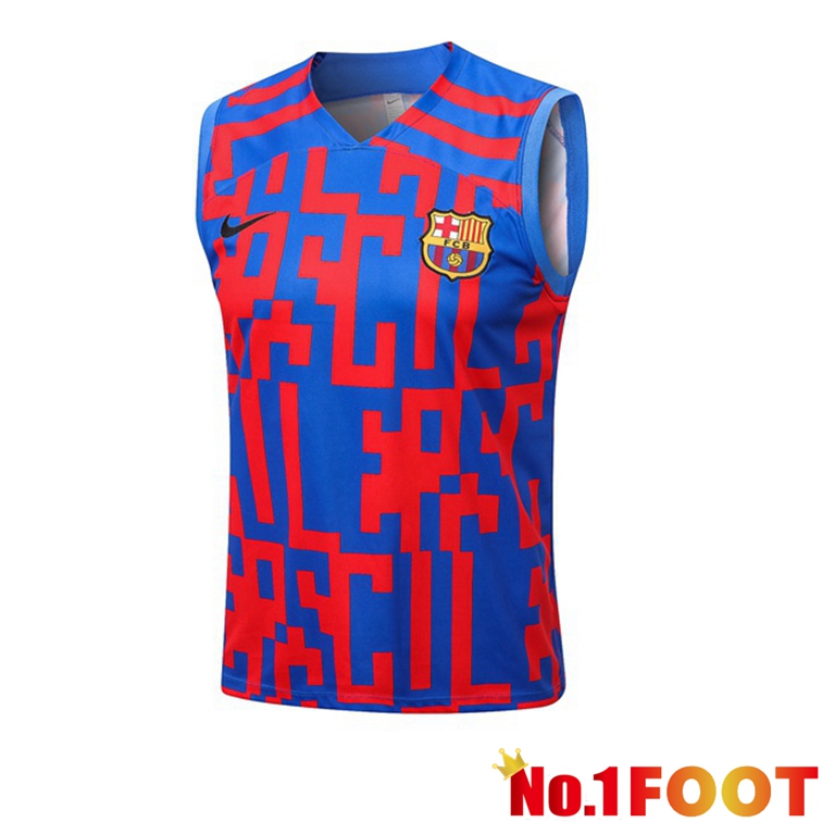 FC Barcelona Blue Red Football Vest 2022-2023