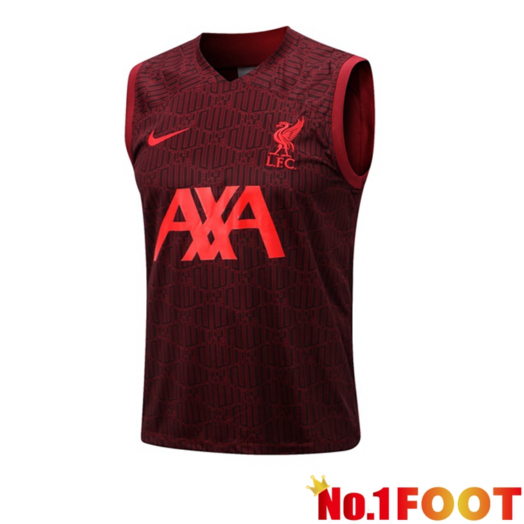 FC Liverpool Soccer Vest Red 2022-2023