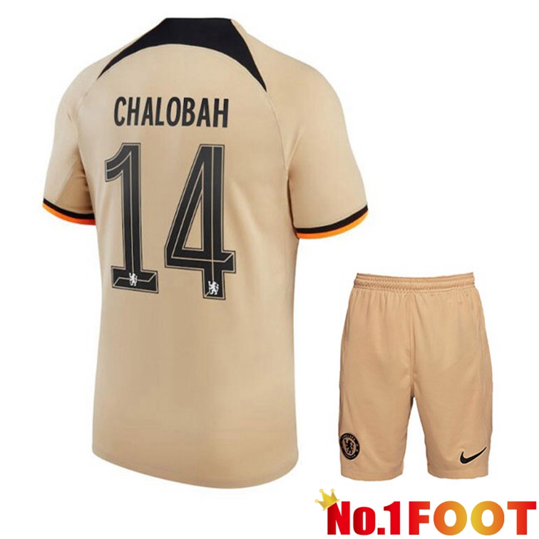 FC Chelsea (CHALOBAH 14) Kids Soccer Jerseys Third Marron 2022-2023