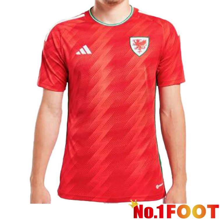 Wales Soccer Jersey Home Red 2022/2023