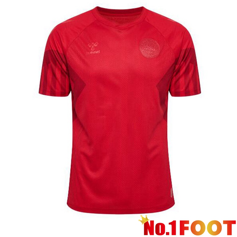 Denmark Soccer Jersey Home Red 2022/2023