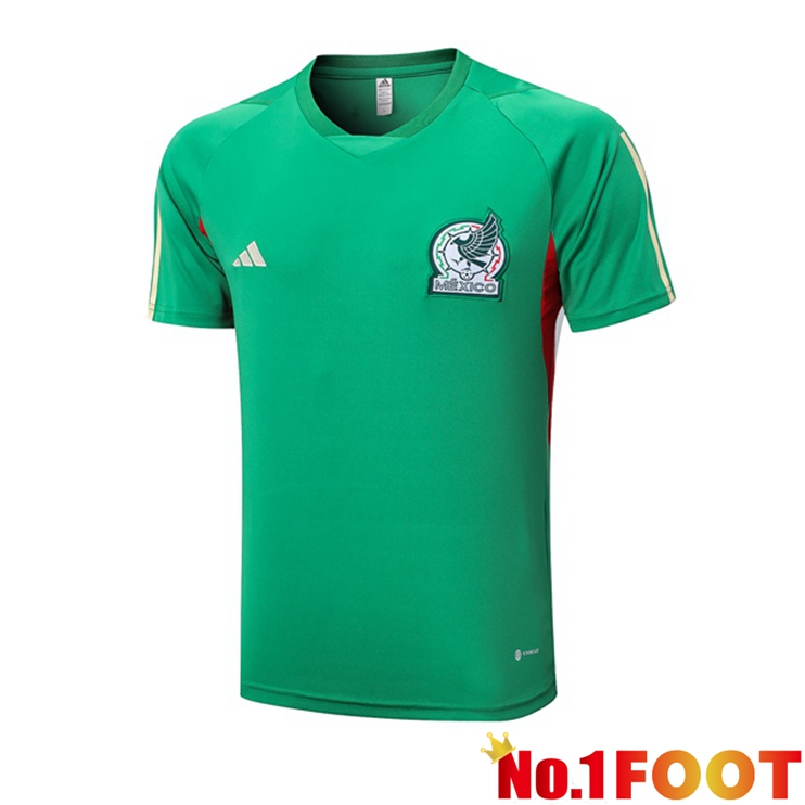 Mexico Training T Shirt Green 2023/2024