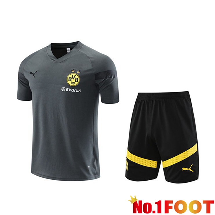 Dortmund BVB Training T Shirt + Shorts Grey 2023/2024