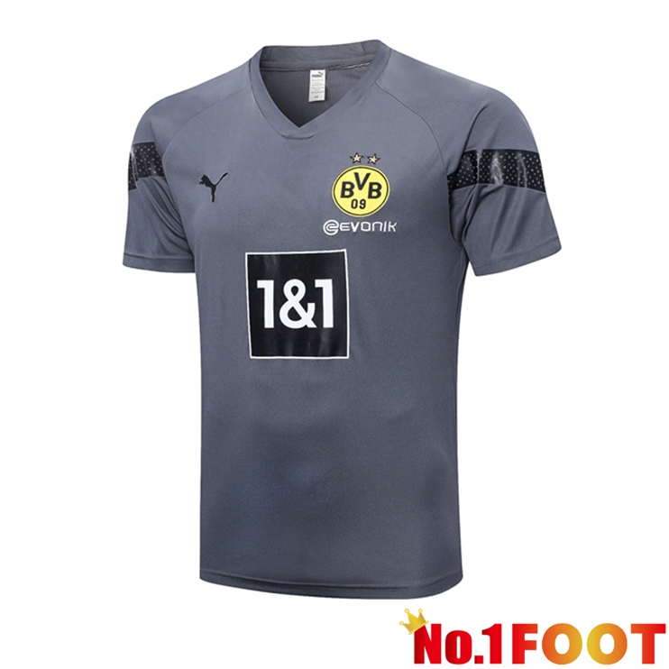 Dortmund BVB Training T Shirt Grey 2023/2024