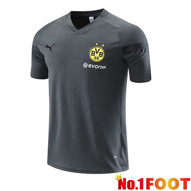 Dortmund BVB Training T Shirt Grey 2023/2024