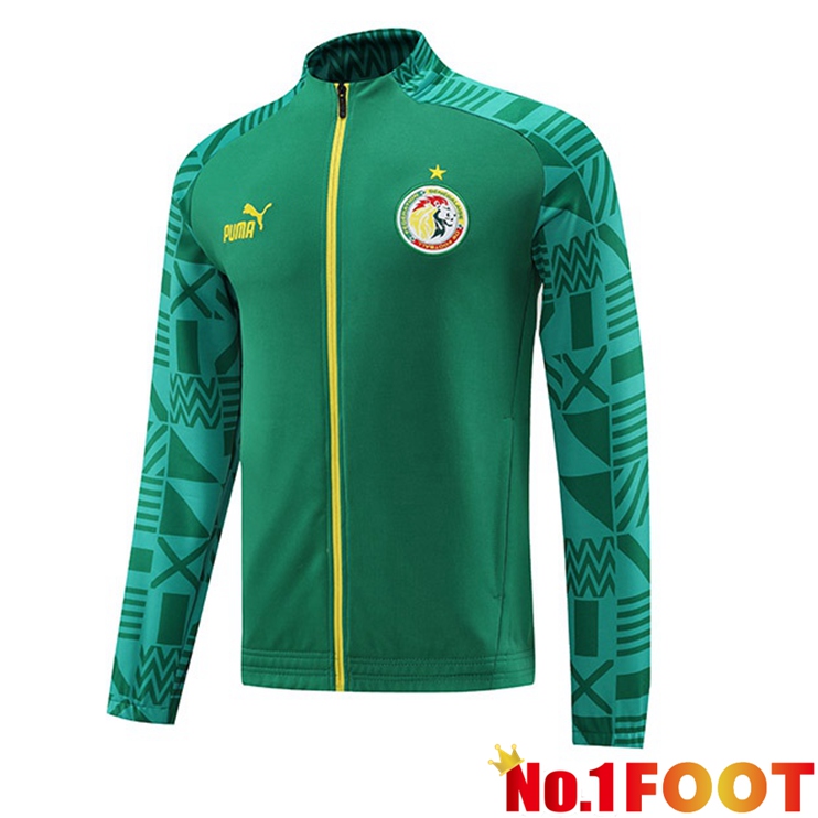 Senegal Training Jacket Green 2023/2024