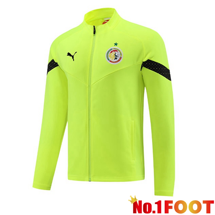 Senegal Training Jacket Green 2023/2024