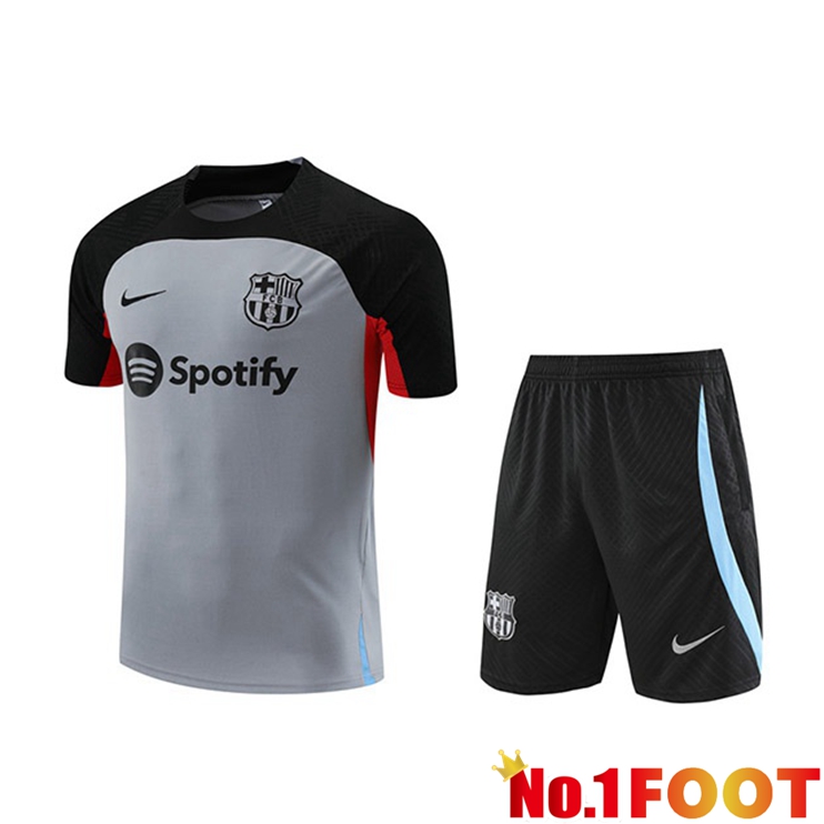 FC Barcelona Training T Shirt + Shorts Grey 2023/2024