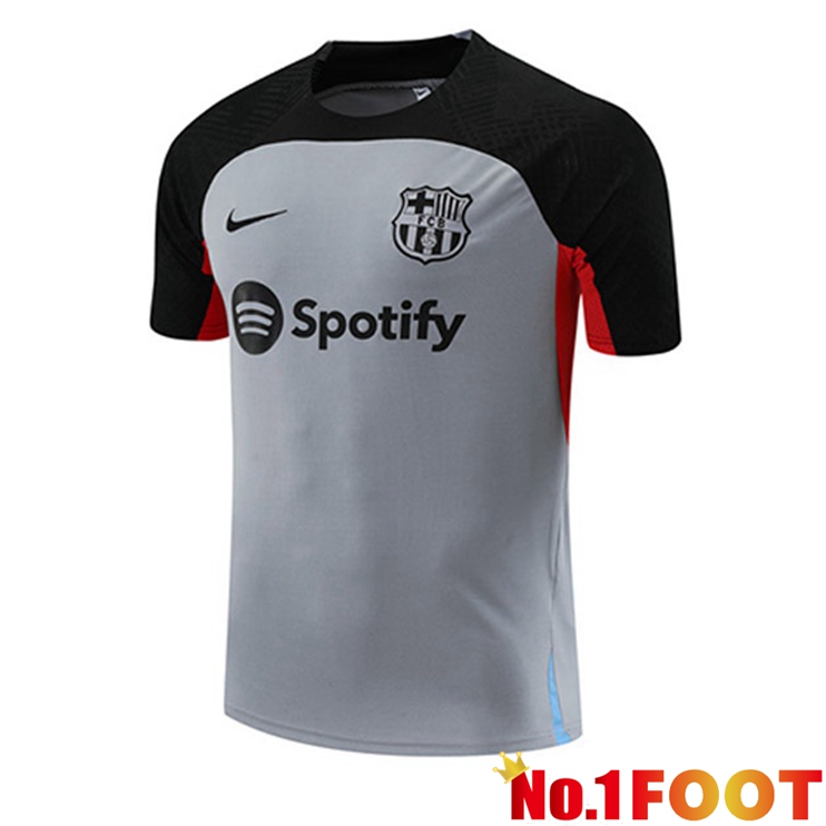 FC Barcelona Training T Shirt Grey 2023/2024