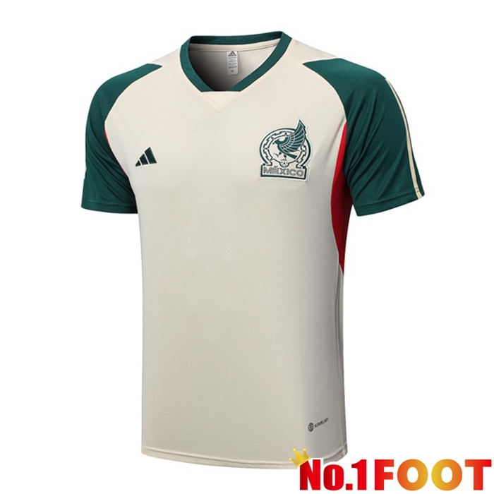 Mexico Training T Shirt Brown 2023/2024 - Click Image to Close