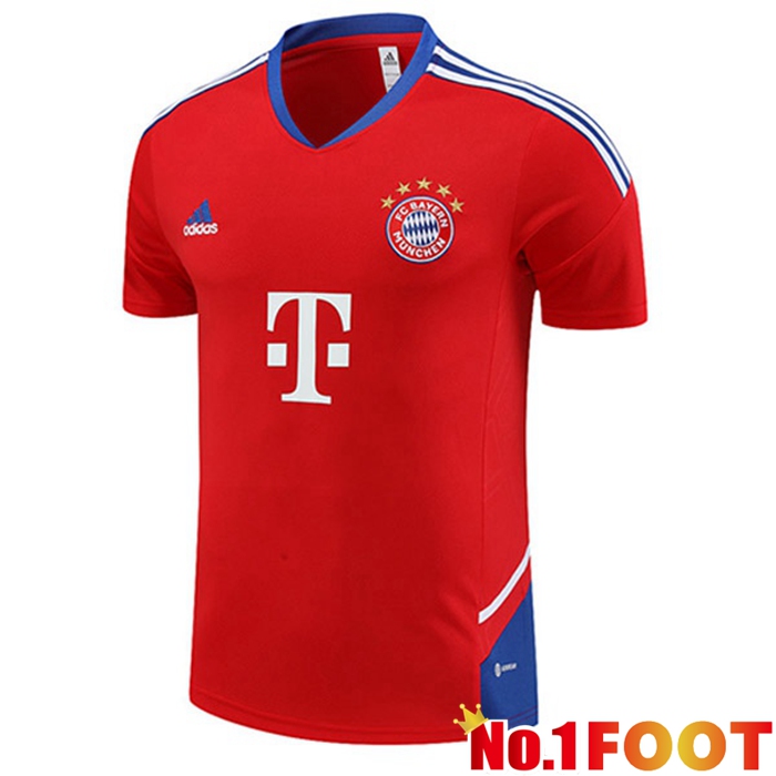 Bayern Munich Training T Shirt Red 2023/2024