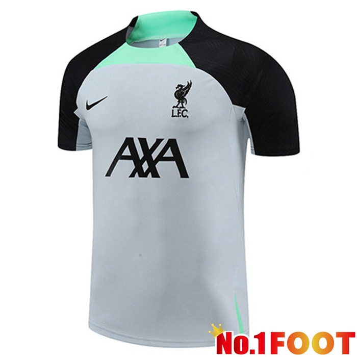 FC Liverpool Training T Shirt Grey 2023/2024