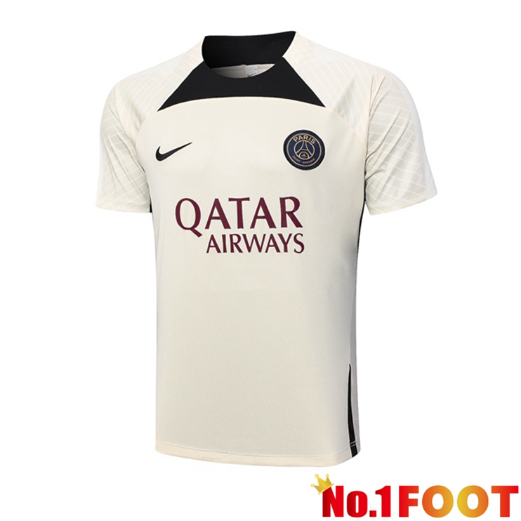 Paris PSG Training T Shirt Brown 2023/2024