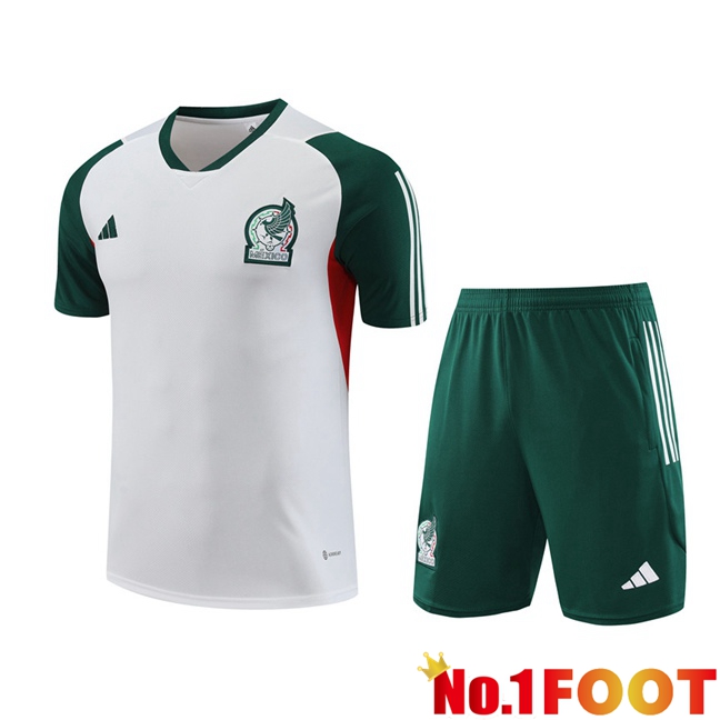 Mexico Training T Shirt + Shorts White 2023/2024