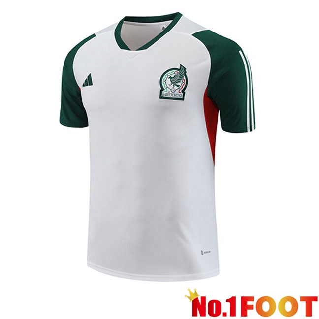 Mexico Training T Shirt White 2023/2024