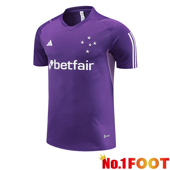 Cruzeiro EC Training T Shirt Purple 2023/2024