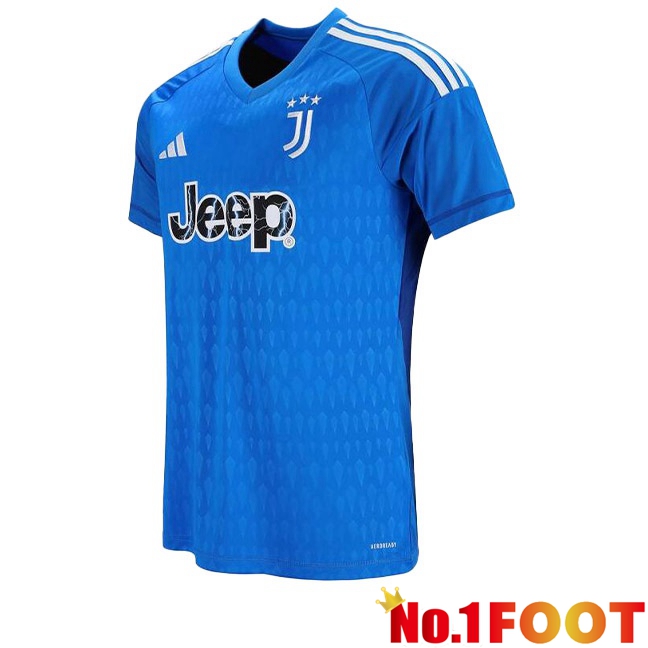 Juventus Football Jersey Goalkeeper Blue 2023/2024