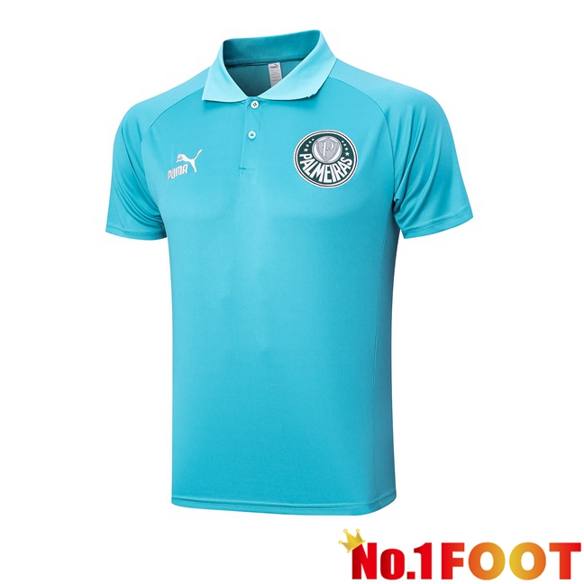 Palmeiras Football Polo Green 2023/2024 - Click Image to Close