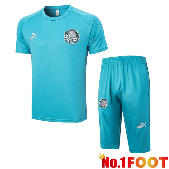 Palmeiras Training T Shirt + Shorts Cyan 2023/2024