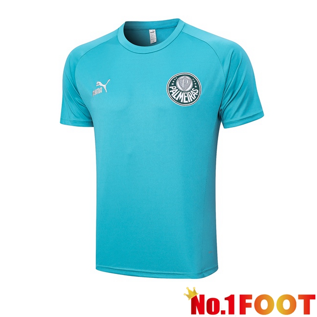 Palmeiras Training T Shirt Cyan 2023/2024