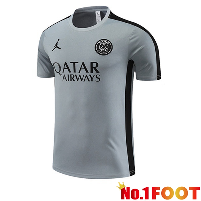 JORDAN Paris PSG Training T Shirt Grey 2023/2024