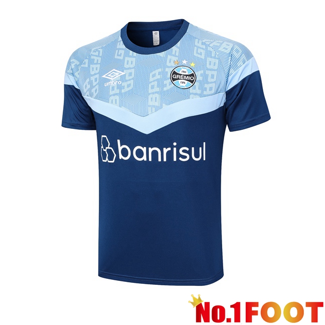 Gremio Training T Shirt Blue 2023/2024