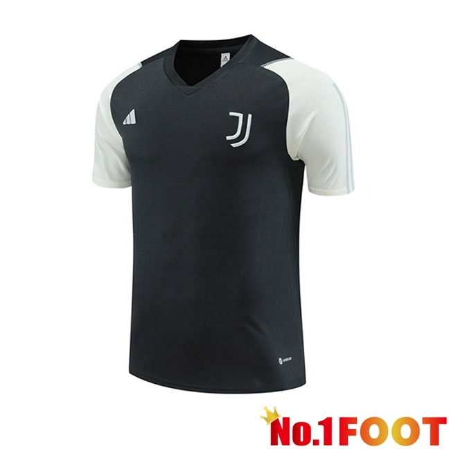 Juventus Training T Shirt Grey 2023/2024