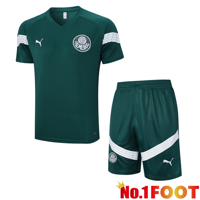 Palmeiras Training T Shirt + Shorts Green 2023/2024