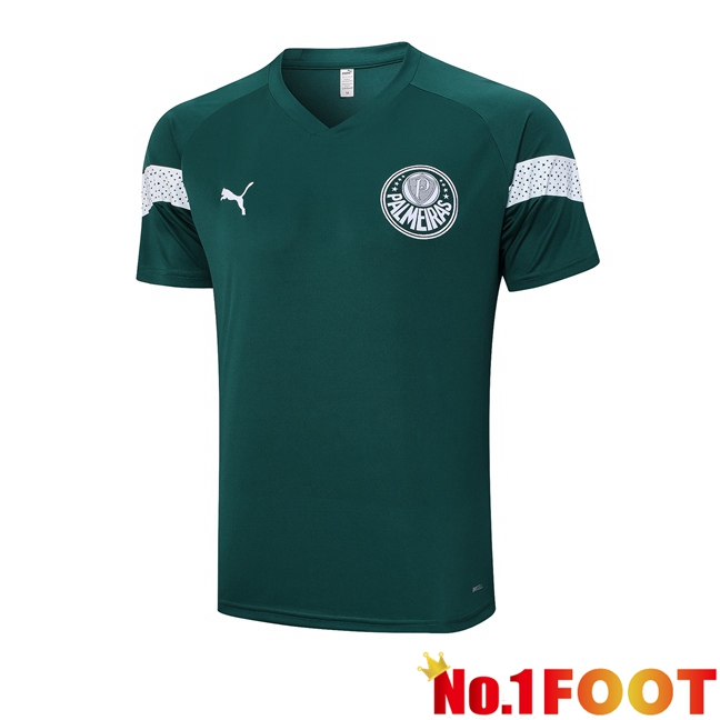 Palmeiras Training T Shirt Green 2023/2024