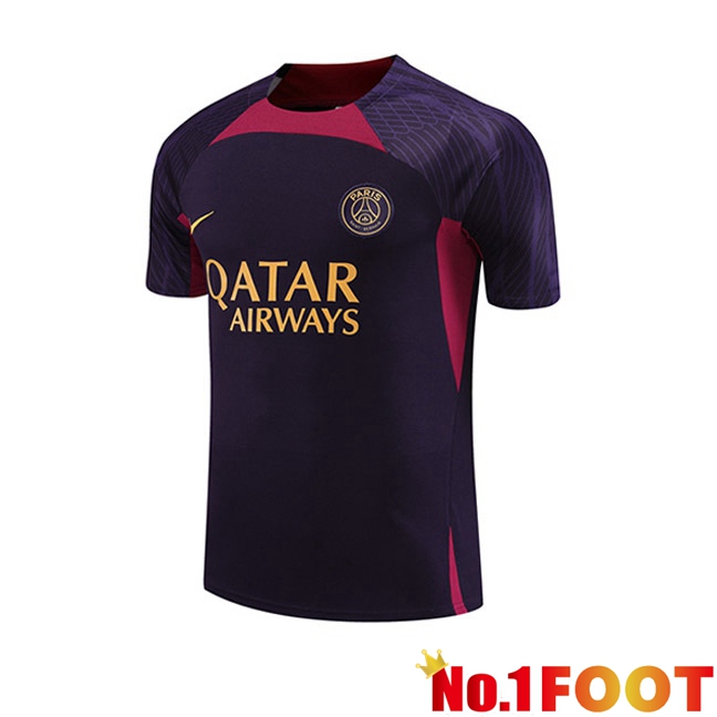 Paris PSG Training T Shirt Purple 2023/2024